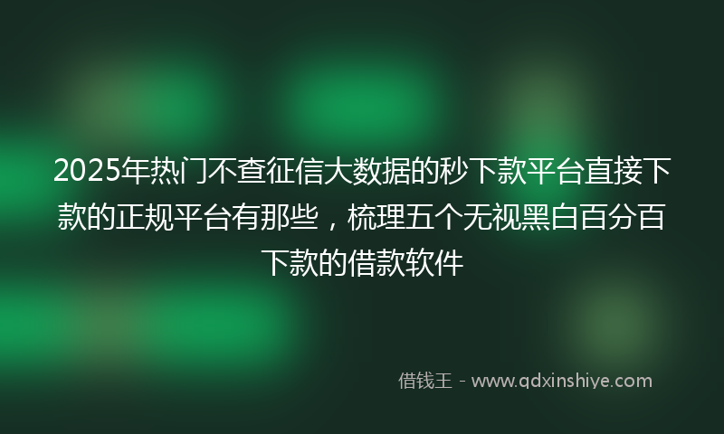 2025年热门不查征信大数据的秒下款平台直接下款的正规平台有那些，梳理五个无视黑白百分百下款的借款软件
