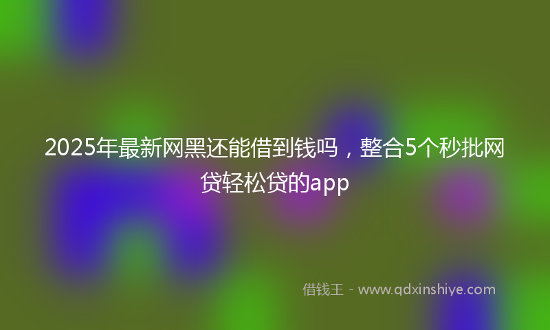 2025年最新网黑还能借到钱吗，整合5个秒批网贷轻松贷的app