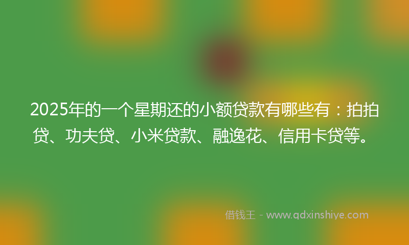 2025年的一个星期还的小额贷款有哪些有：拍拍贷、功夫贷、小米贷款、融逸花、信用卡贷等。