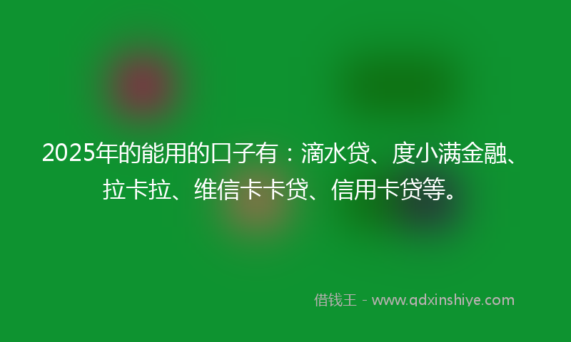 2025年的能用的口子有：滴水贷、度小满金融、拉卡拉、维信卡卡贷、信用卡贷等。