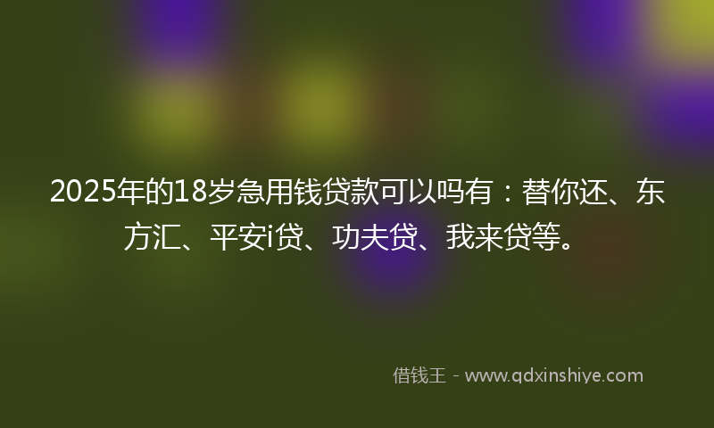 2025年的18岁急用钱贷款可以吗有：替你还、东方汇、平安i贷、功夫贷、我来贷等。