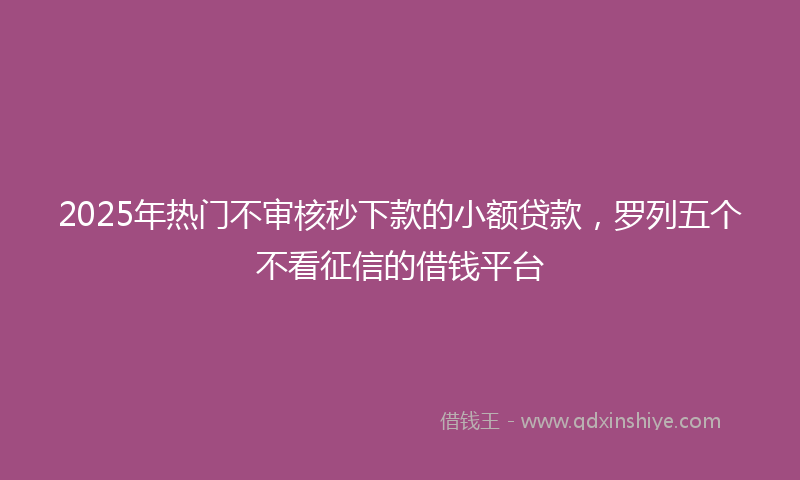 2025年热门不审核秒下款的小额贷款，罗列五个不看征信的借钱平台