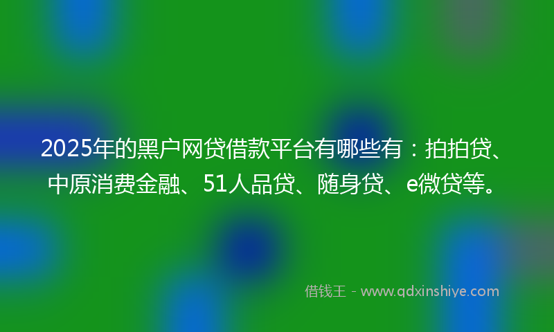 2025年的黑户网贷借款平台有哪些有：拍拍贷、中原消费金融、51人品贷、随身贷、e微贷等。