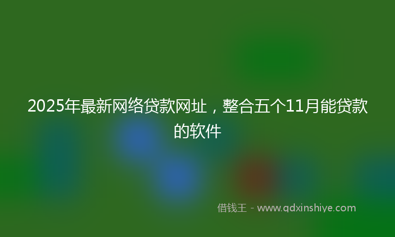 2025年最新网络贷款网址，整合五个11月能贷款的软件