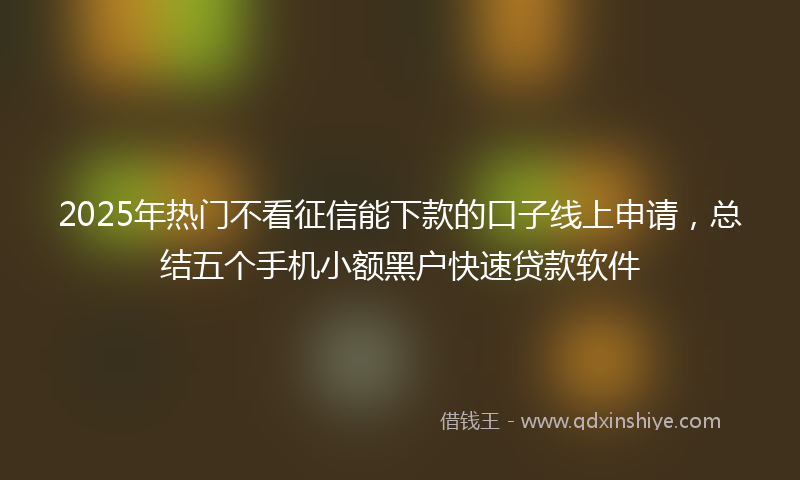 2025年热门不看征信能下款的口子线上申请，总结五个手机小额黑户快速贷款软件