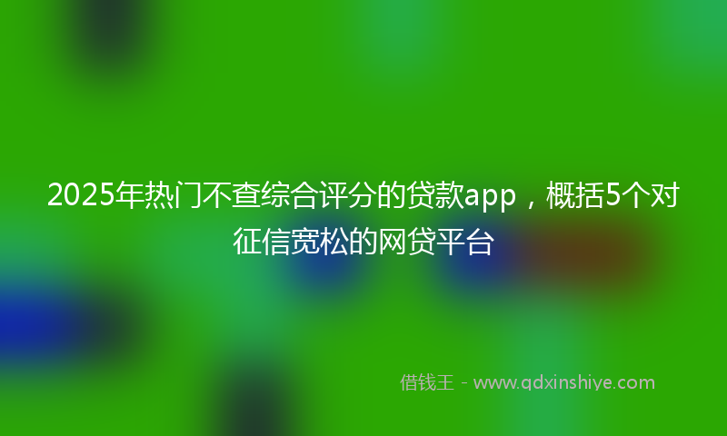 2025年热门不查综合评分的贷款app，概括5个对征信宽松的网贷平台