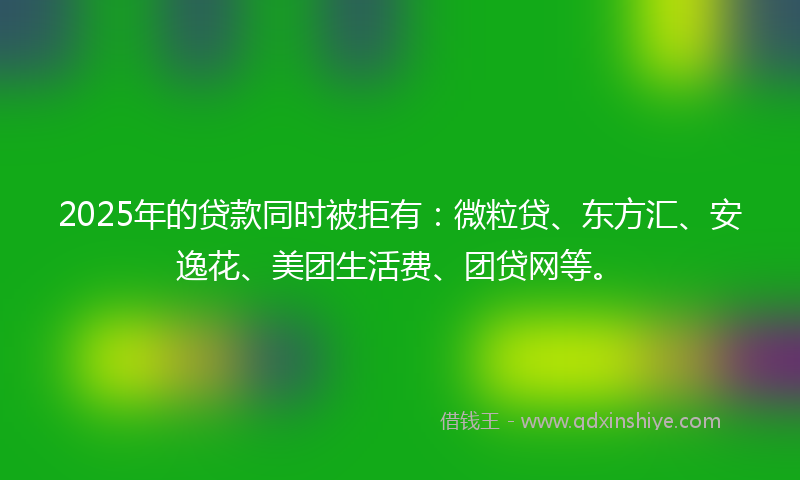 2025年的贷款同时被拒有：微粒贷、东方汇、安逸花、美团生活费、团贷网等。