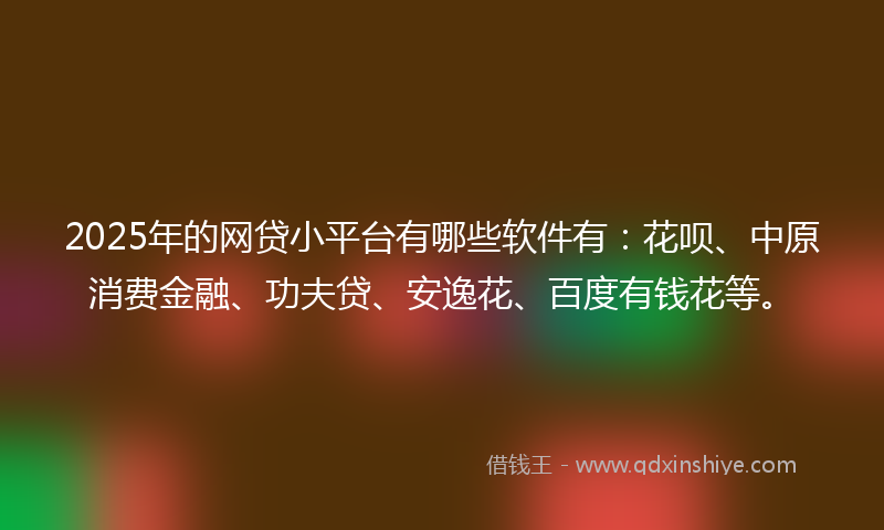 2025年的网贷小平台有哪些软件有：花呗、中原消费金融、功夫贷、安逸花、百度有钱花等。