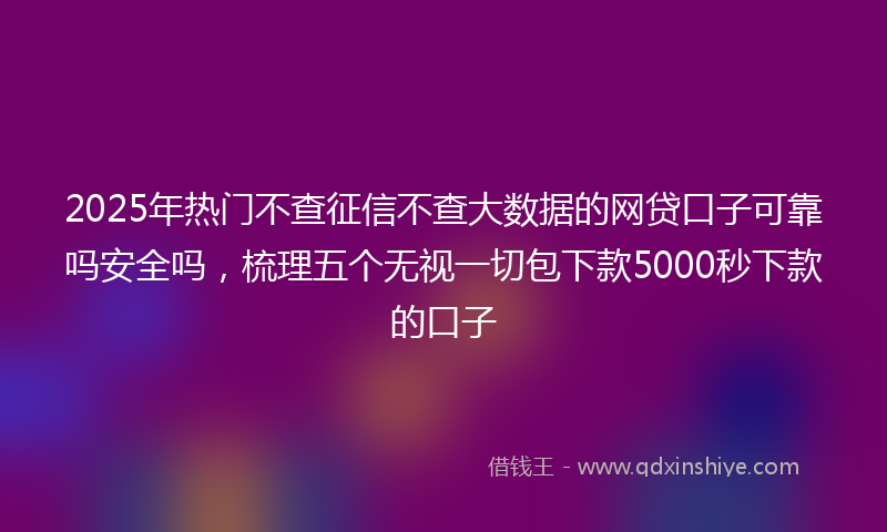 2025年热门不查征信不查大数据的网贷口子可靠吗安全吗，梳理五个无视一切包下款5000秒下款的口子
