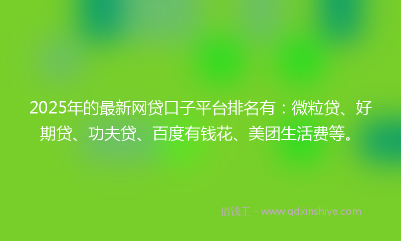 2025年的最新网贷口子平台排名有：微粒贷、好期贷、功夫贷、百度有钱花、美团生活费等。