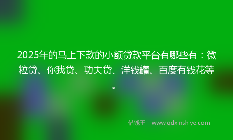 2025年的马上下款的小额贷款平台有哪些有：微粒贷、你我贷、功夫贷、洋钱罐、百度有钱花等。