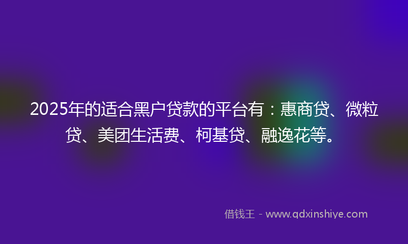 2025年的适合黑户贷款的平台有：惠商贷、微粒贷、美团生活费、柯基贷、融逸花等。