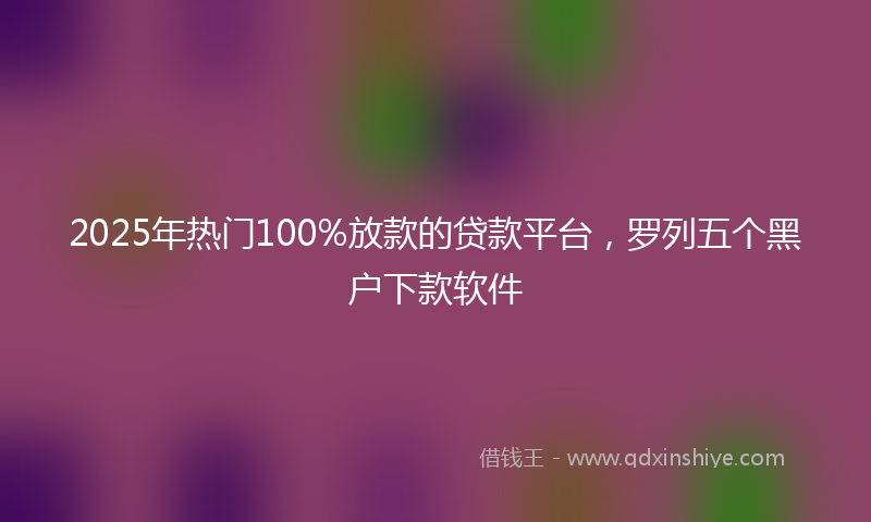2025年热门100%放款的贷款平台，罗列五个黑户下款软件