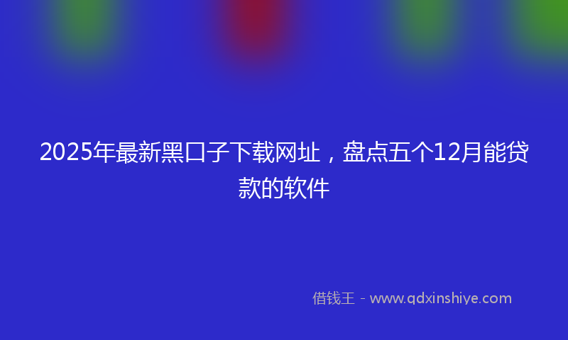 2025年最新黑口子下载网址，盘点五个12月能贷款的软件