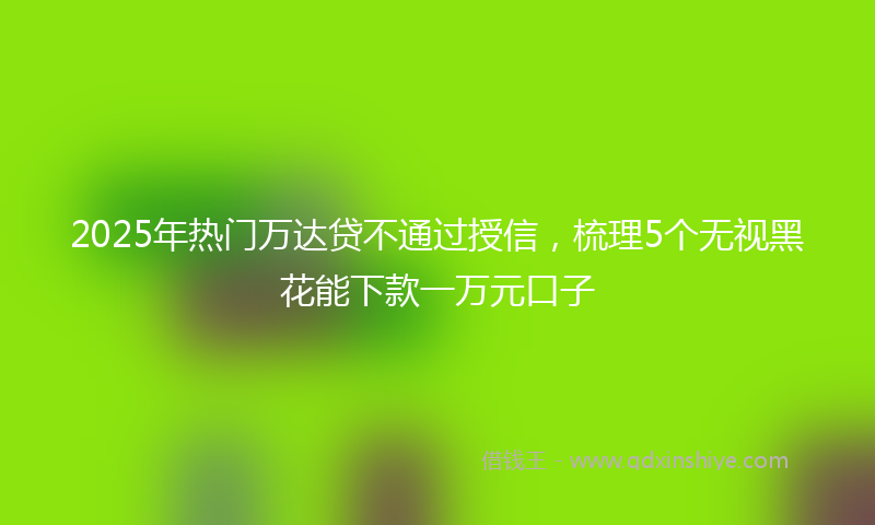 2025年热门万达贷不通过授信，梳理5个无视黑花能下款一万元口子