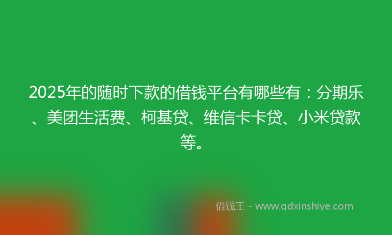 2025年的随时下款的借钱平台有哪些有：分期乐、美团生活费、柯基贷、维信卡卡贷、小米贷款等。