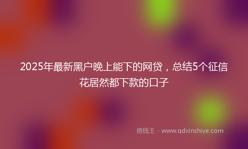 2025年最新黑户晚上能下的网贷，总结5个征信花居然都下款的口子