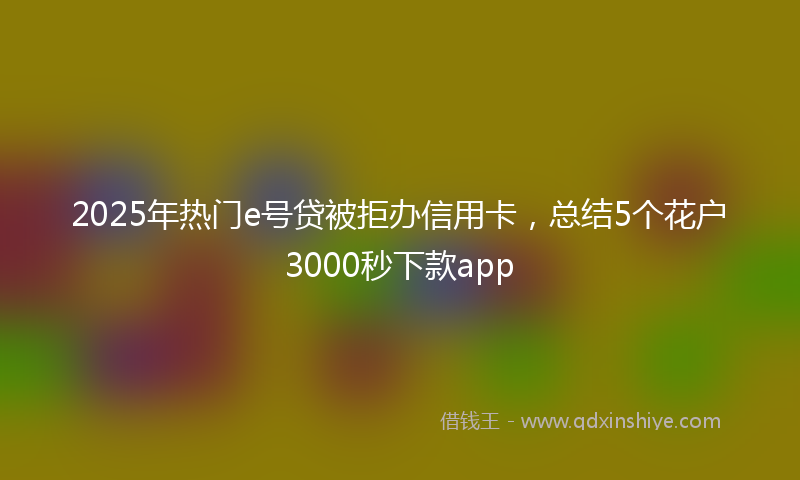 2025年热门e号贷被拒办信用卡，总结5个花户3000秒下款app