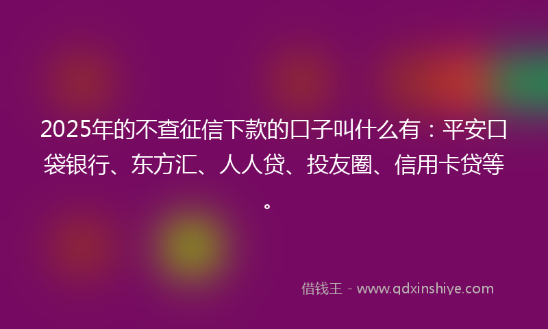 2025年的不查征信下款的口子叫什么有：平安口袋银行、东方汇、人人贷、投友圈、信用卡贷等。