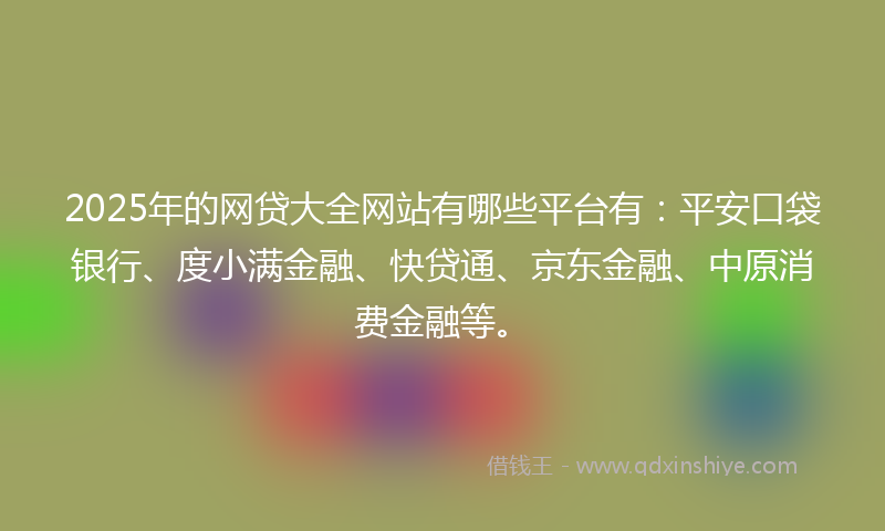2025年的网贷大全网站有哪些平台有：平安口袋银行、度小满金融、快贷通、京东金融、中原消费金融等。