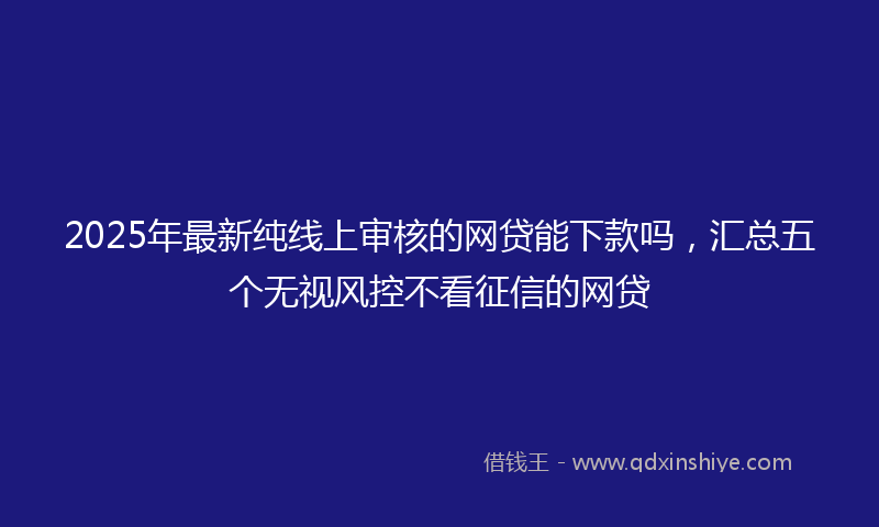 2025年最新纯线上审核的网贷能下款吗，汇总五个无视风控不看征信的网贷