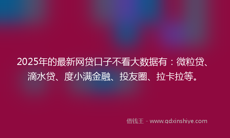 2025年的最新网贷口子不看大数据有：微粒贷、滴水贷、度小满金融、投友圈、拉卡拉等。