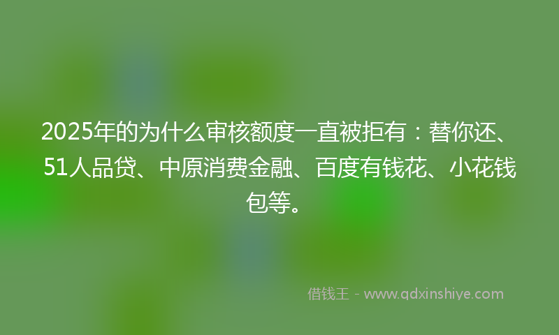 2025年的为什么审核额度一直被拒有：替你还、51人品贷、中原消费金融、百度有钱花、小花钱包等。