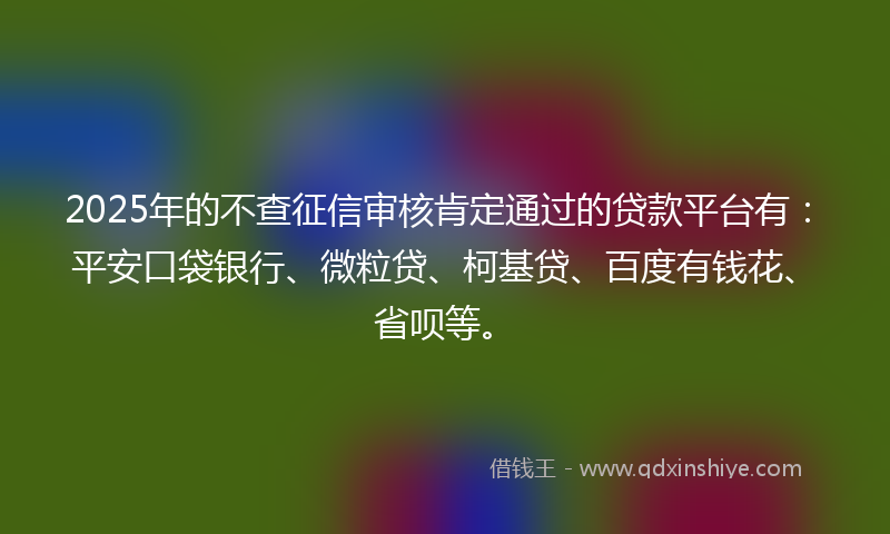 2025年的不查征信审核肯定通过的贷款平台有：平安口袋银行、微粒贷、柯基贷、百度有钱花、省呗等。