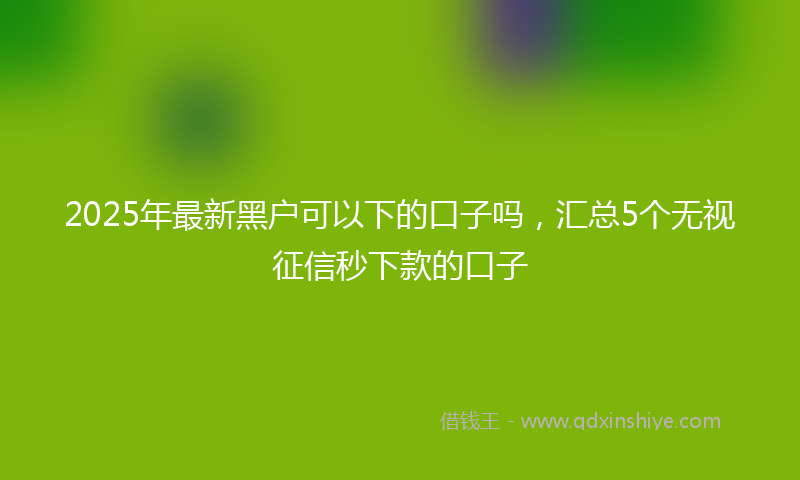 2025年最新黑户可以下的口子吗，汇总5个无视征信秒下款的口子