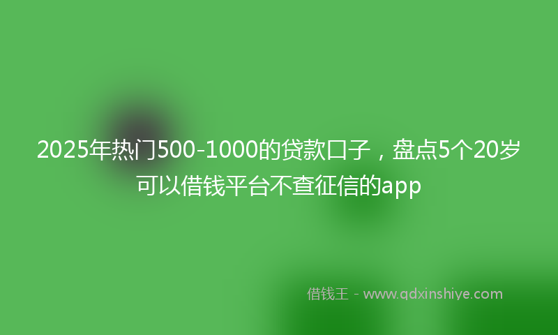 2025年热门500-1000的贷款口子，盘点5个20岁可以借钱平台不查征信的app