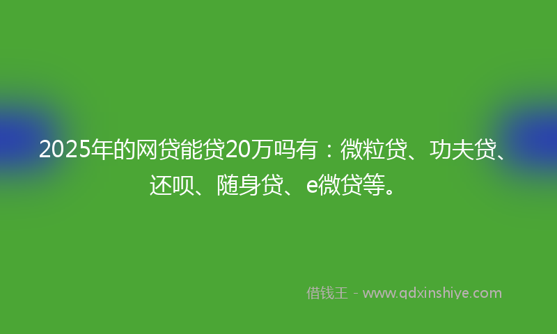 2025年的网贷能贷20万吗有：微粒贷、功夫贷、还呗、随身贷、e微贷等。