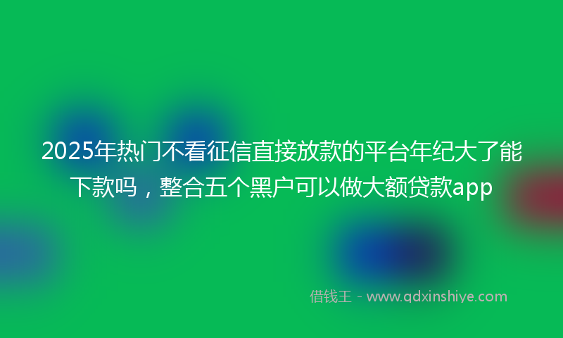 2025年热门不看征信直接放款的平台年纪大了能下款吗，整合五个黑户可以做大额贷款app