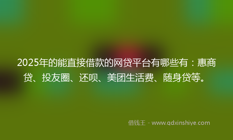 2025年的能直接借款的网贷平台有哪些有：惠商贷、投友圈、还呗、美团生活费、随身贷等。