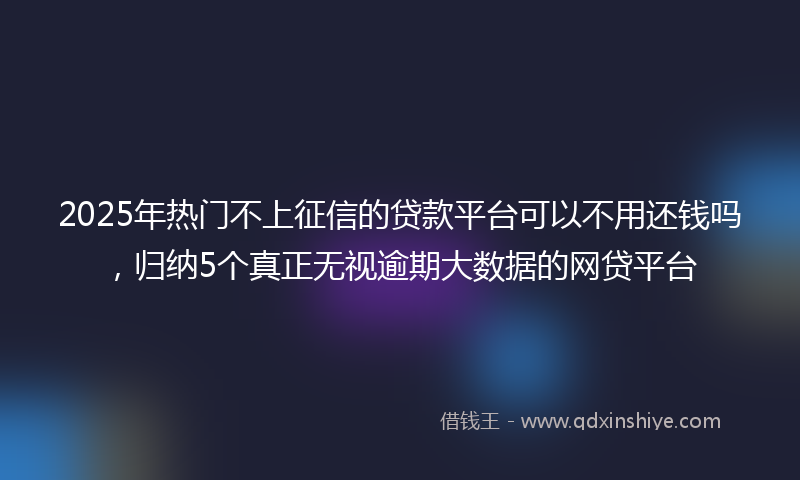 2025年热门不上征信的贷款平台可以不用还钱吗，归纳5个真正无视逾期大数据的网贷平台