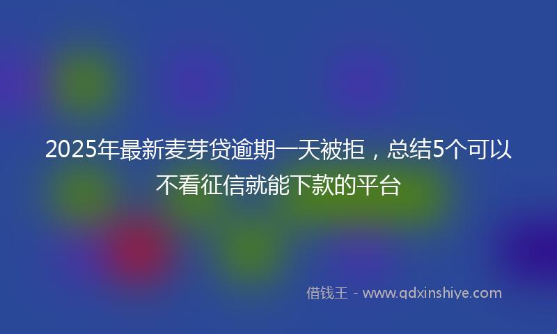 2025年最新麦芽贷逾期一天被拒，总结5个可以不看征信就能下款的平台