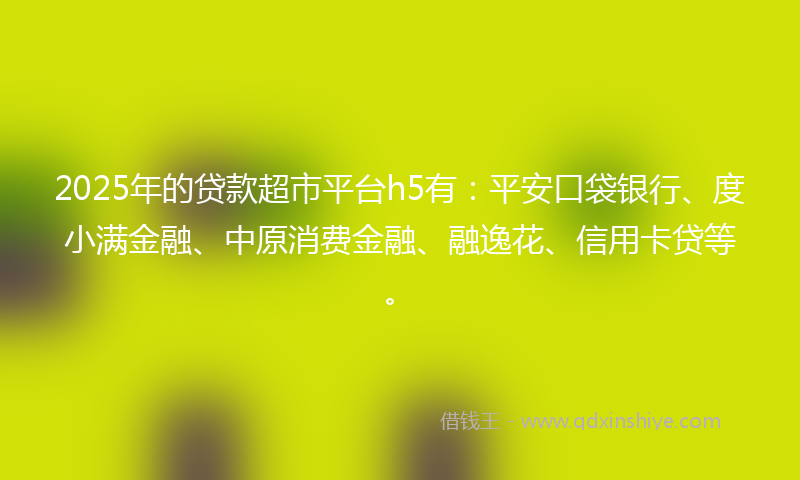 2025年的贷款超市平台h5有：平安口袋银行、度小满金融、中原消费金融、融逸花、信用卡贷等。