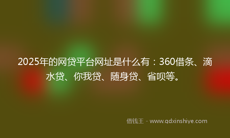2025年的网贷平台网址是什么有：360借条、滴水贷、你我贷、随身贷、省呗等。