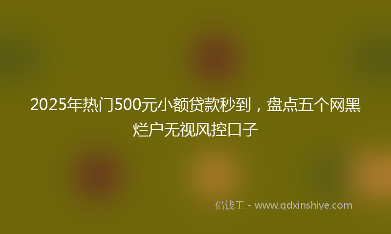 2025年热门500元小额贷款秒到，盘点五个网黑烂户无视风控口子
