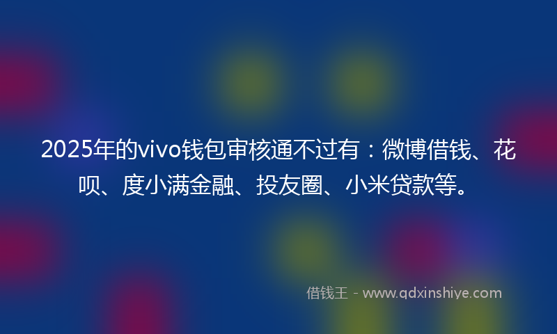 2025年的vivo钱包审核通不过有：微博借钱、花呗、度小满金融、投友圈、小米贷款等。