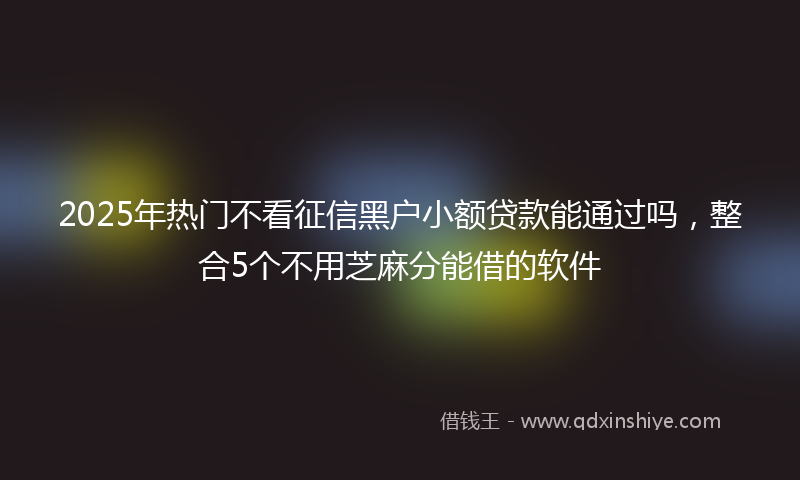2025年热门不看征信黑户小额贷款能通过吗，整合5个不用芝麻分能借的软件