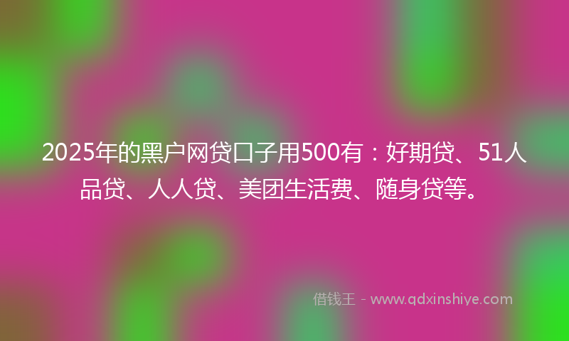 2025年的黑户网贷口子用500有：好期贷、51人品贷、人人贷、美团生活费、随身贷等。