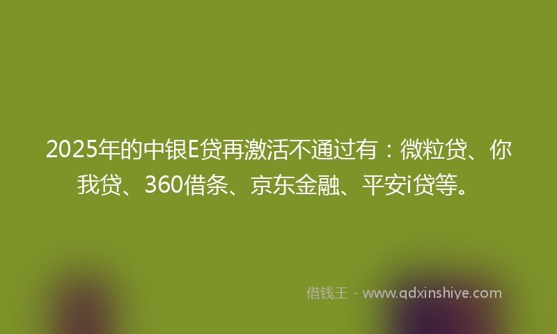2025年的中银E贷再激活不通过有：微粒贷、你我贷、360借条、京东金融、平安i贷等。