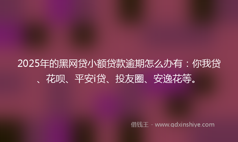 2025年的黑网贷小额贷款逾期怎么办有：你我贷、花呗、平安i贷、投友圈、安逸花等。