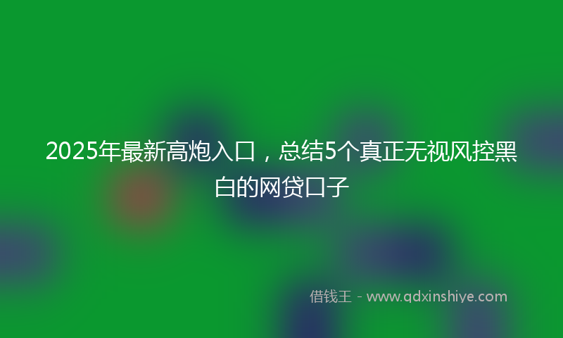 2025年最新高炮入口，总结5个真正无视风控黑白的网贷口子