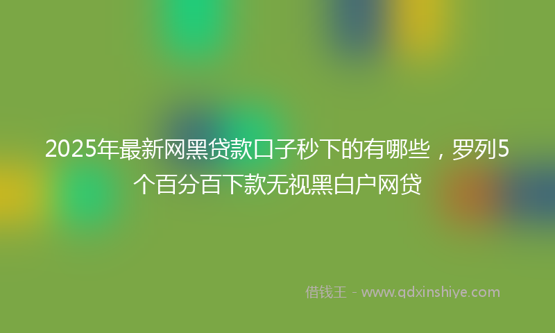 2025年最新网黑贷款口子秒下的有哪些，罗列5个百分百下款无视黑白户网贷