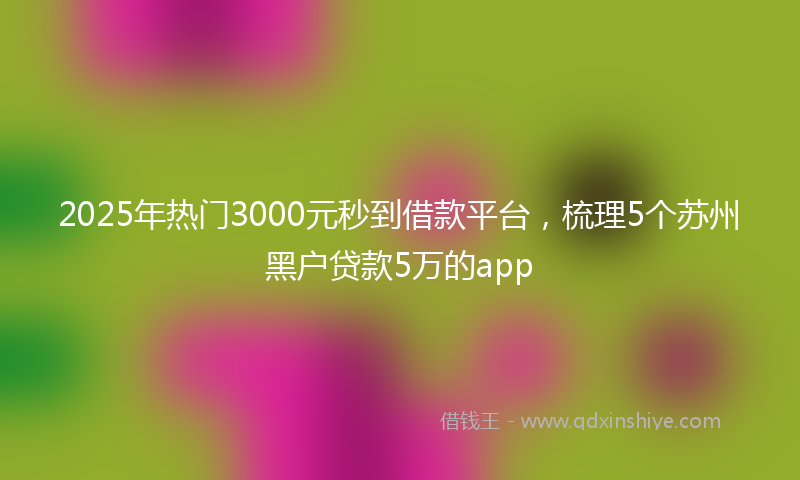 2025年热门3000元秒到借款平台，梳理5个苏州黑户贷款5万的app