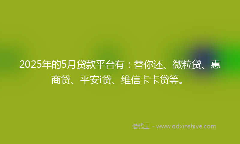 2025年的5月贷款平台有：替你还、微粒贷、惠商贷、平安i贷、维信卡卡贷等。