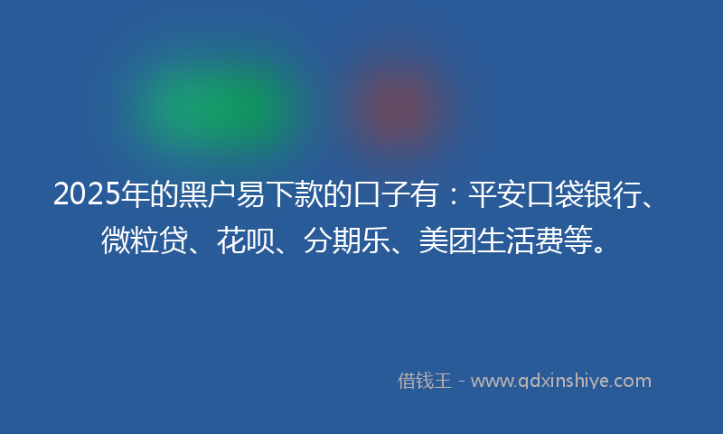 2025年的黑户易下款的口子有:平安口袋银行、微粒贷、花呗、分期乐、美团生活费等。