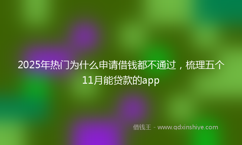 2025年热门为什么申请借钱都不通过，梳理五个11月能贷款的app