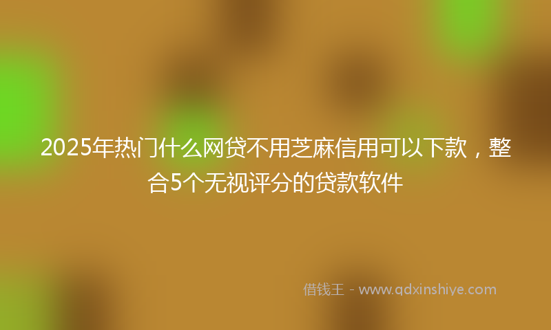 2025年热门什么网贷不用芝麻信用可以下款，整合5个无视评分的贷款软件